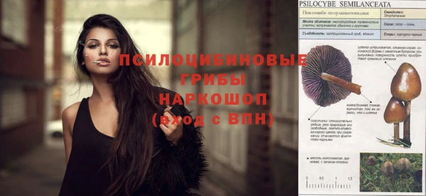 таблы Алексеевка