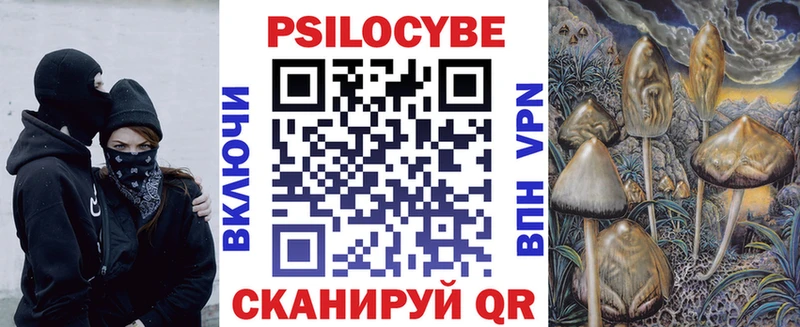 Галлюциногенные грибы Psilocybine cubensis  где найти   mega рабочий сайт  Красноярск 
